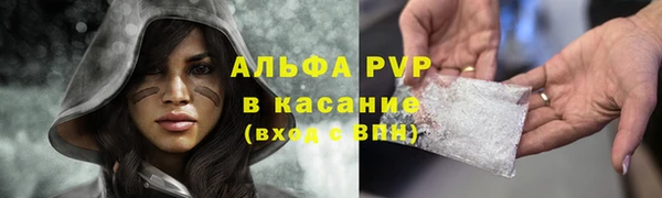 амф Вязьма