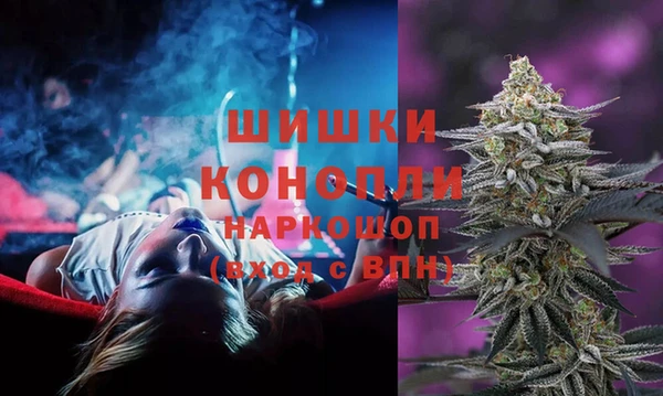 прущая мука Вяземский